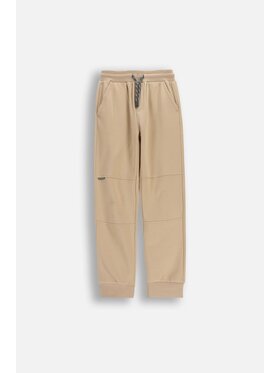 Coccodrillo Coccodrillo Spodnie dresowe WC6120101NBJ-002 Beżowy Regular Fit