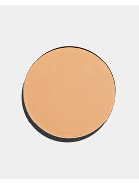 INGLOT INGLOT Freedom System Satin Skin Puder 101