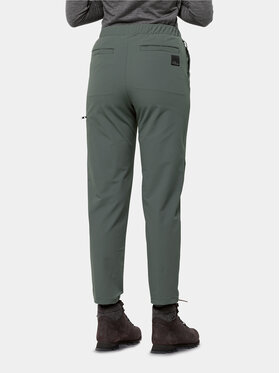 Jack Wolfskin Pohodne Hlače Wandermood Pants 1508441 Zelena Regular Fit