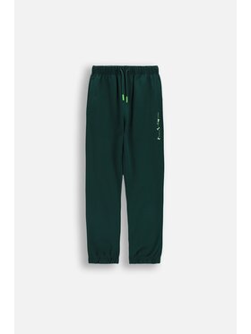 Coccodrillo Coccodrillo Spodnie dresowe WC6120101VBA-011 Zielony Regular Fit