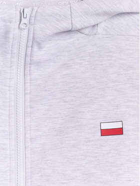 4F 4F Bluza STREFA KIBICA Szary jasny Regular Fit