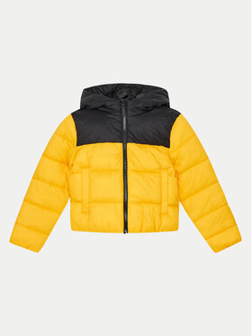 4F 4F Зимова куртка 4FJWAW24TDJAM462 Жовтий Regular Fit