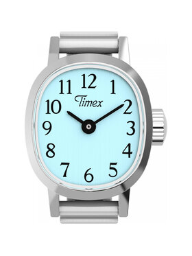 Timex Timex Hodinky TW2Y77200 Stříbrná