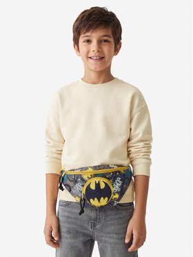 Batman Batman Ročna torba CEO-ACCCS-SS26-228WBBAT Siva