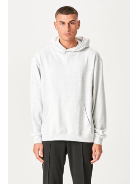 TeeShoppen TeeShoppen Bluza 'Basic Collection' Szary Regular Fit