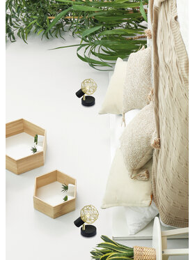 Candellux Candellux Lampa 5906714866329 Czarny