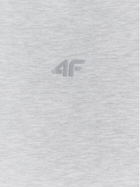 4F 4F T-Shirt NOS Szary jasny Regular Fit