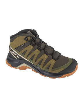Salomon Salomon Buty wspinaczkowe X-Adventure Recon GTX Zielony