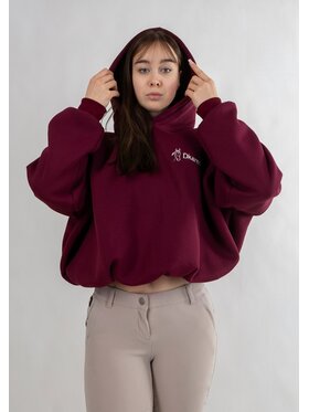 DKaren Sport DKaren Sport Bluza Eq27 Bordowy Classic Fit