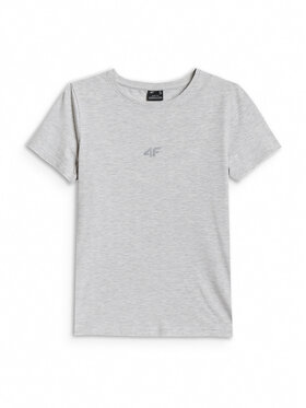 4F 4F T-Shirt NOS Szary jasny Slim Fit