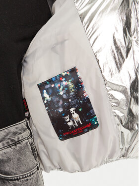 Μπουφάν μεταβατικό Frieda & Freddies φωτογραφία