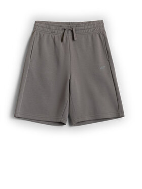 4F 4F Szorty sportowe WAVE RIDERS CLUB Szary Loose Fit