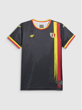 4F 4F Koszulka techniczna TEAMWEAR Kolorowy Regular Fit