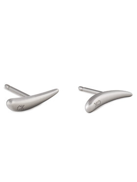 Calvin Klein Calvin Klein Naušnice 35000344 Stříbrná