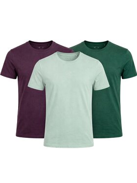 4F 4F T-Shirt Z-TTSHM3947-3-J Biały Regular Fit