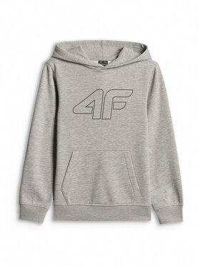 4F 4F Bluza BASIC+ Szary Regular Fit