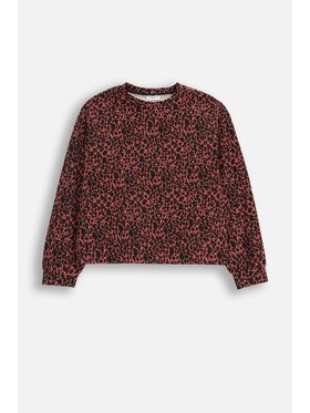 Coccodrillo Coccodrillo T-Shirt ZC5143104CGJ-022 Kolorowy Regular Fit