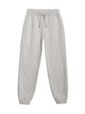 4F 4F Spodnie dresowe BASIC+ Szary Oversize