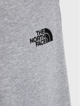 The North Face Spodnji Del Trenirke Teen NF0A82EO Siva Regular Fit