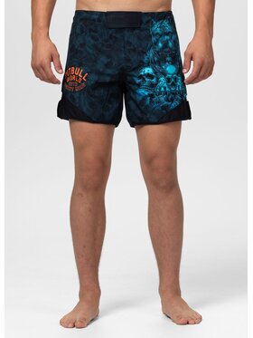 PITBULL PITBULL Szorty sportowe GUARDIAN ANGEL Czarny Regular Fit