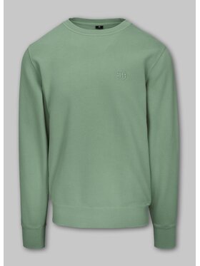 PITBULL PITBULL Bluza Bluza męska Washed Lancaster II L Zielony Regular Fit