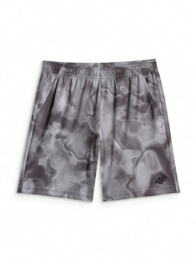 4F 4F Szorty sportowe THE GYM POWER Szary Regular Fit