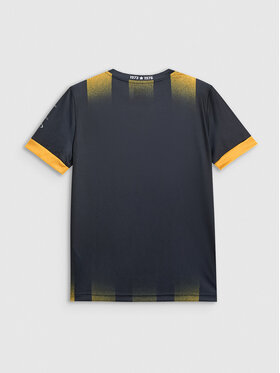 4F 4F Koszulka techniczna TEAMWEAR Kolorowy Regular Fit