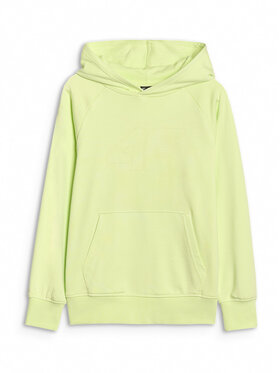 4F 4F Bluza BASIC+ Zielony Oversize