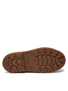 Μποτάκια Iceberg φωτογραφία