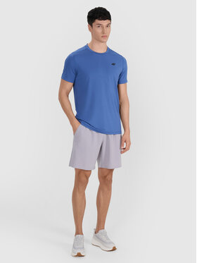 4F 4F Szorty sportowe MULTI ACTIVE Szary Regular Fit