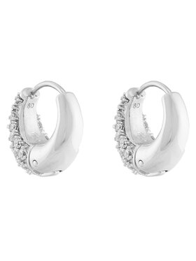 Σκουλαρίκια Swarovski φωτογραφία