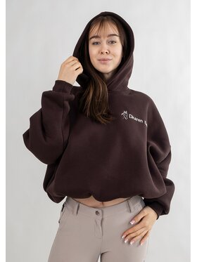 DKaren Sport DKaren Sport Bluza Eq27 Brązowy Classic Fit