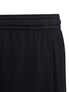 Αθλητικό σορτς adidas φωτογραφία