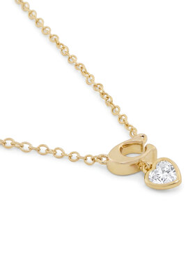 Σετ κολιέ και σκουλαρίκια Coach φωτογραφία