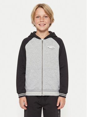 Quiksilver Quiksilver Суитшърт Knowledge Area EQBFT03949 Цветен Regular Fit