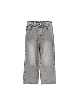 Coccodrillo Coccodrillo Jeansy ZC6123103CJG-019 Šedá Regular Fit
