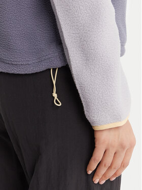 Fleece The North Face φωτογραφία