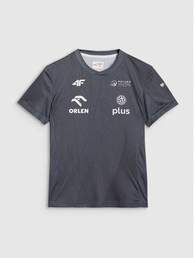4F 4F Koszulka techniczna TEAMWEAR Kolorowy Regular Fit