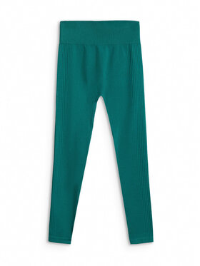 4F 4F Legginsy MULTI ACTIVE Turkusowy Slim Fit