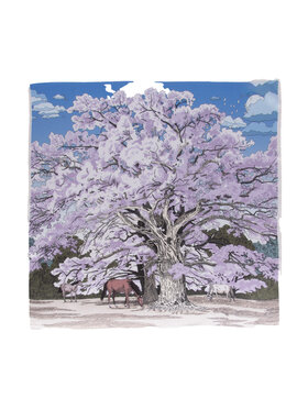 ALLORA BE UNIQUE ALLORA BE UNIQUE Foulard seta Viola