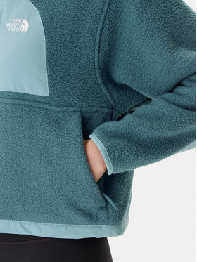 Fleece The North Face φωτογραφία
