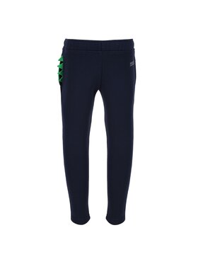 Regatta Regatta Spodnie outdoor RG6551 Granatowy Regular Fit