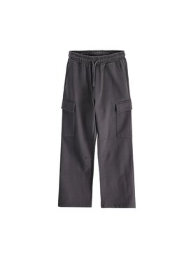 Coccodrillo Coccodrillo Spodnie dresowe ZC6120204WBJ-020 Szary Regular Fit