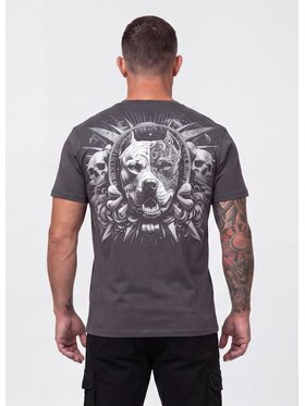 PITBULL PITBULL T-Shirt PITBULL WORLD Szary Regular Fit