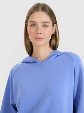 4F 4F Bluza COMMON GROUND Niebieski Regular Fit