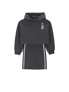 Coccodrillo Coccodrillo Každodenní šaty WC6129102HGJ-020 Šedá Regular Fit