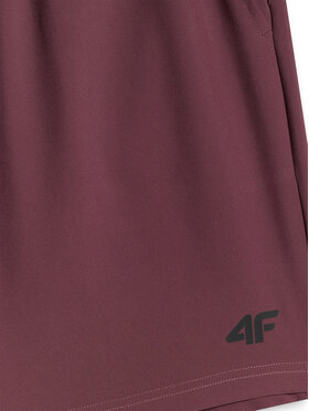 4F 4F Szorty sportowe VICTORY PACK Bordowy Regular Fit