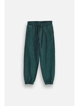 Coccodrillo Coccodrillo Teplákové kalhoty ZC6120102VBA-011 Zelená Regular Fit