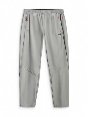 4F 4F Spodnie outdoor TREKKING Szary Regular Fit