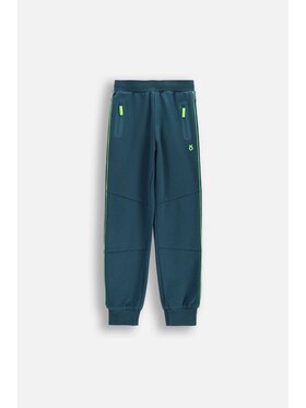 Lemon Explore Lemon Explore Spodnie dresowe WL6120102ACB-011 Zielony Regular Fit